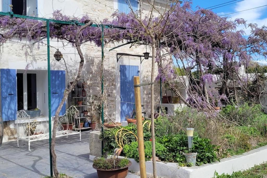 Location Appartement Dans Mas Provencal モントゥー エクステリア 写真